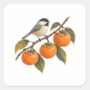 Search for songbirds stickers Autumn