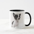 Search for stand mugs Photography