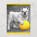 Search for howdie postcards Puppies