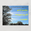 Search for designer pattern cards For him