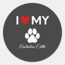 Search for australian cattle dog stickers Pets