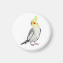 Search for animals design magnets Hand drawn