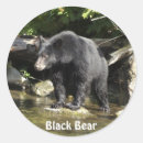 Search for salmon fishing stickers Black bears