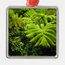 Search for volcano christmas tree decorations Scenic