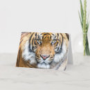 Search for big cat predators cards Animal