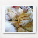 Search for cuddle mousepads Pet