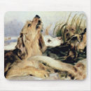 Search for landseer mousepads 19th