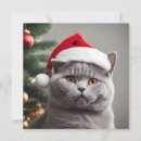 Search for british shorthair cards Funny