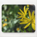 Search for flower petals electronics Daisy