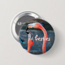 Search for flamingo badges Bird