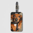 Search for dachshund luggage tags Pets