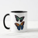 Search for butter face mugs Butterflies