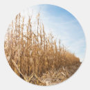 Search for flare stickers Blue