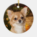 Search for long haired chihuahua christmas tree decorations Animals