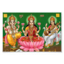 Search for lakshmi posters Lotus