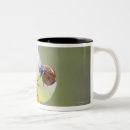 Search for hokkaido mugs Japan