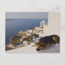 Search for dog sleeping postcards Horizontal