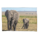 Search for african elephant pillowcases Kenya africa