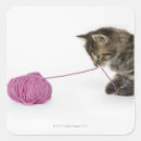 Search for tabby kitten stickers Cute