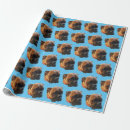 Search for boxer wrapping paper Animal