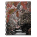 Search for trail photography Pathway