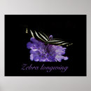 Search for zebra longwing posters Animal