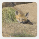 Search for breckenridge stickers Kit