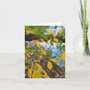 Search for autumn leaf cards Leaves