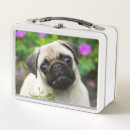 Search for pug lunch boxes Puppy