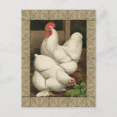 Search for bordered postcards Farm