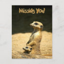 Search for offspring postcards Animal