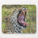 Search for shoulders mousepads Nature
