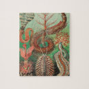 Search for worm puzzles Ernst haeckel