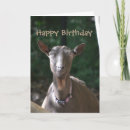 Search for old goat birthday cards Animal
