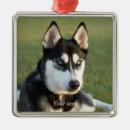 Search for siberian husky christmas tree decorations Cute
