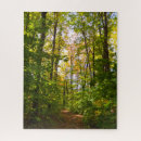 Search for forest path puzzles Walking