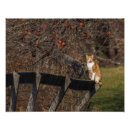 Search for fur tree posters Furry