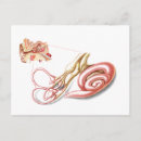 Search for human ear postcards Structure