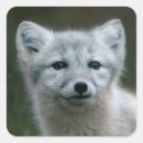 Search for habitat stickers Nature