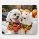 Search for pumpkin patch mousepads Fall