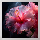 Search for hibiscus art Beautiful
