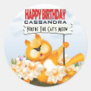 Search for happy birthday cat stickers Whimsical