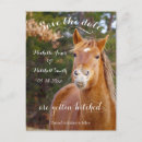 Search for save a horse postcards For her