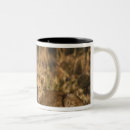 Search for lion cub coffee mugs Big cat