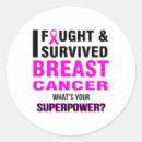 Search for survived breast cancer stickers Survivor