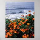 Search for frank ocean posters Adnt