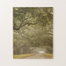 Search for savannah georgia puzzles Joanne wells