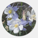 Search for columbine flowers stickers Wildflowers