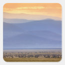 Search for wildebeest stickers Wildlife