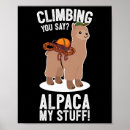 Search for ice climbing posters Send season
